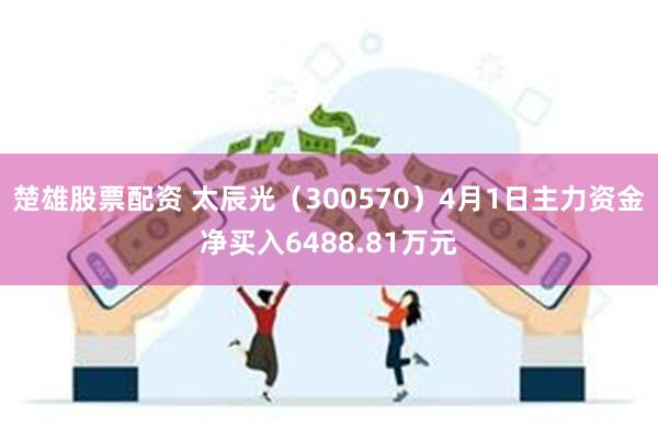 楚雄股票配资 太辰光（300570）4月1日主力资金净买入6488.81万元