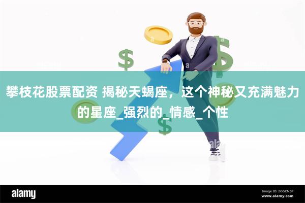 攀枝花股票配资 揭秘天蝎座，这个神秘又充满魅力的星座_强烈的_情感_个性