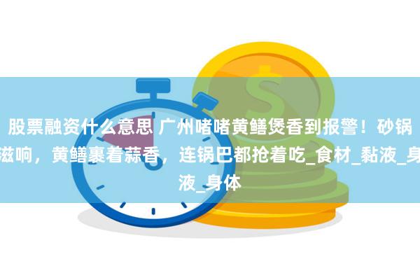 股票融资什么意思 广州啫啫黄鳝煲香到报警！砂锅滋滋响，黄鳝裹着蒜香，连锅巴都抢着吃_食材_黏液_身体