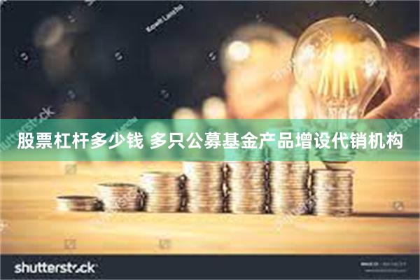 股票杠杆多少钱 多只公募基金产品增设代销机构