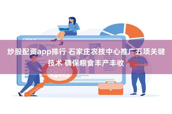 炒股配资app排行 石家庄农技中心推广五项关键技术 确保粮食丰产丰收