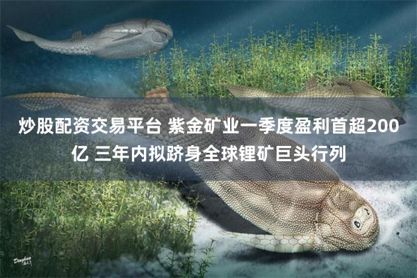炒股配资交易平台 紫金矿业一季度盈利首超200亿 三年内拟跻身全球锂矿巨头行列