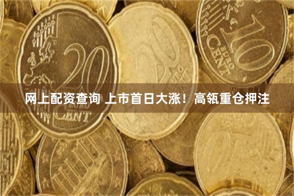 网上配资查询 上市首日大涨！高瓴重仓押注