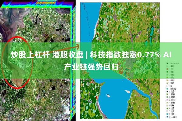 炒股上杠杆 港股收盘 | 科技指数独涨0.77% AI产业链强势回归