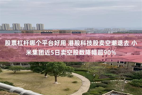 股票杠杆哪个平台好用 港股科技股卖空潮退去 小米集团近5日卖空股数降幅超90%