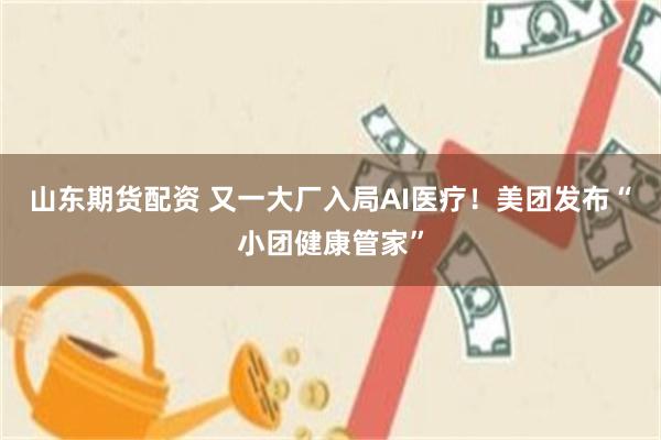 山东期货配资 又一大厂入局AI医疗！美团发布“小团健康管家”