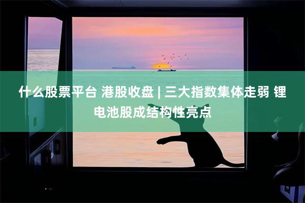 什么股票平台 港股收盘 | 三大指数集体走弱 锂电池股成结构性亮点