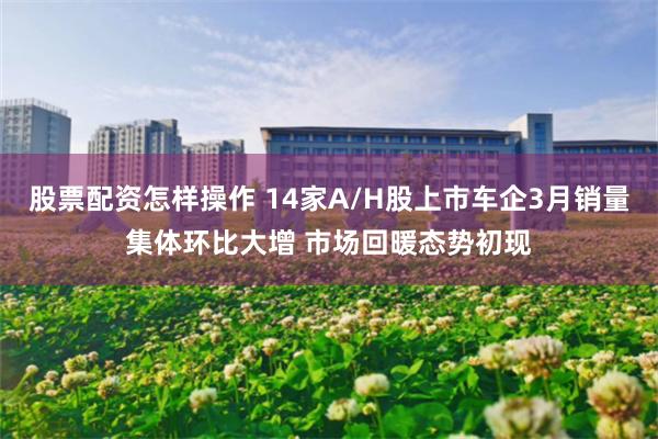 股票配资怎样操作 14家A/H股上市车企3月销量集体环比大增 市场回暖态势初现