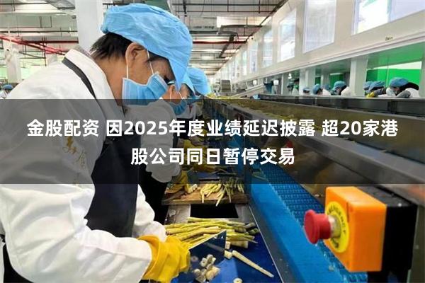 金股配资 因2025年度业绩延迟披露 超20家港股公司同日暂停交易