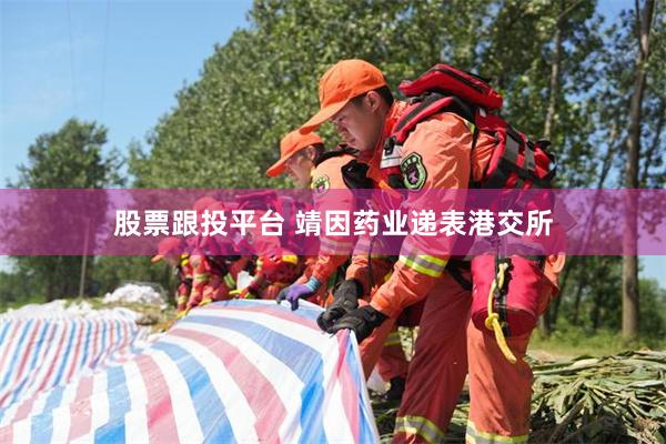 股票跟投平台 靖因药业递表港交所