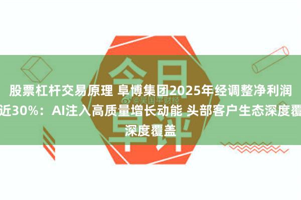 股票杠杆交易原理 阜博集团2025年经调整净利润增近30%：AI注入高质量增长动能 头部客户生态深度覆盖