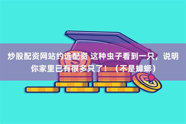 炒股配资网站约选配资 这种虫子看到一只，说明你家里已有很多只了！（不是蟑螂）