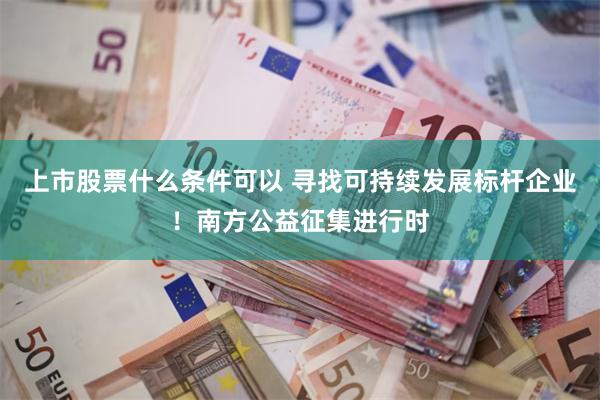 上市股票什么条件可以 寻找可持续发展标杆企业！南方公益征集进行时