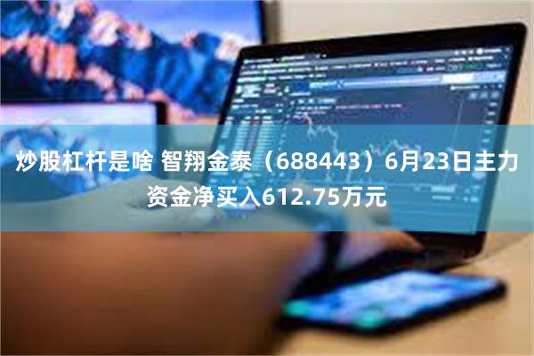 炒股杠杆是啥 智翔金泰(688443)6月23日主力资金净买入612.75万元