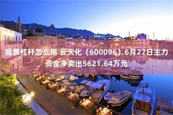股票杠杆怎么用 云天化（600096）6月27日主力资金净卖出5621.64万元