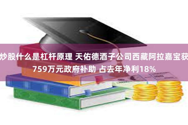 炒股什么是杠杆原理 天佑德酒子公司西藏阿拉嘉宝获759万元政府补助 占去年净利18%