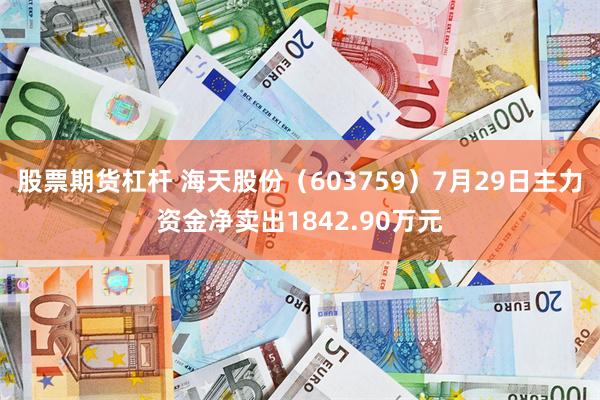 股票期货杠杆 海天股份（603759）7月29日主力资金净卖出1842.90万元