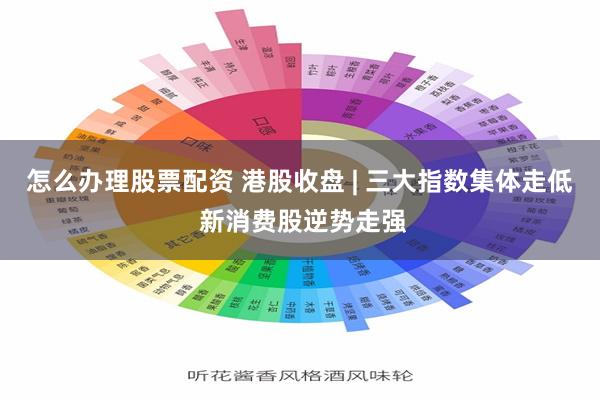 怎么办理股票配资 港股收盘 | 三大指数集体走低 新消费股逆势走强