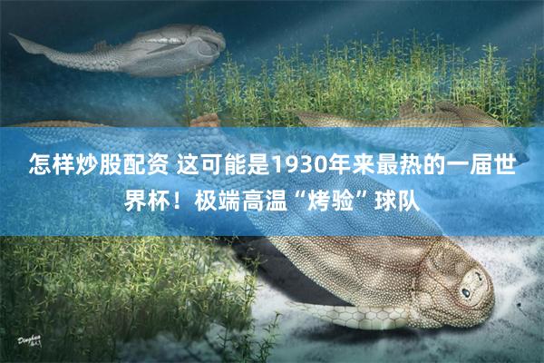 怎样炒股配资 这可能是1930年来最热的一届世界杯！极端高温“烤验”球队