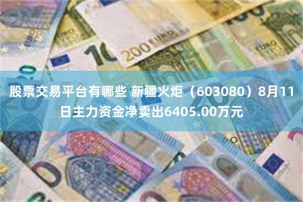 股票交易平台有哪些 新疆火炬（603080）8月11日主力资金净卖出6405.00万元