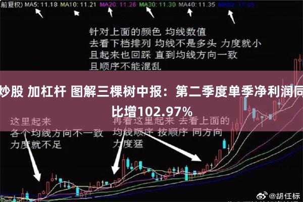 炒股 加杠杆 图解三棵树中报：第二季度单季净利润同比增102.97%