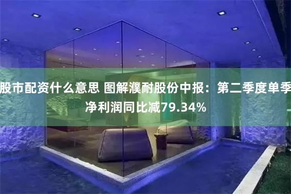 股市配资什么意思 图解濮耐股份中报：第二季度单季净利润同比减79.34%