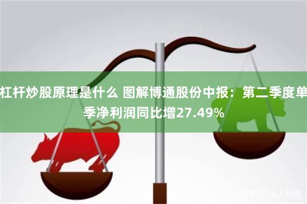 杠杆炒股原理是什么 图解博通股份中报：第二季度单季净利润同比增27.49%