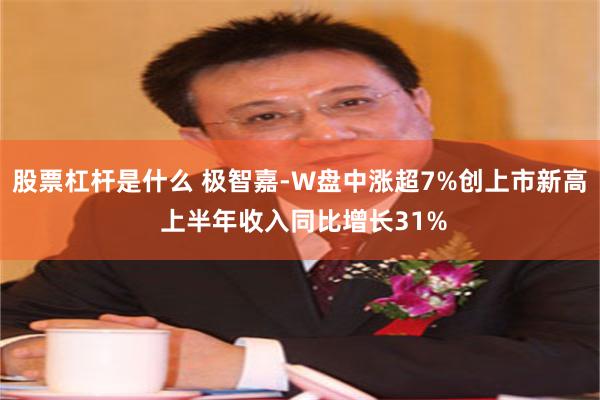 股票杠杆是什么 极智嘉-W盘中涨超7%创上市新高 上半年收入同比增长31%