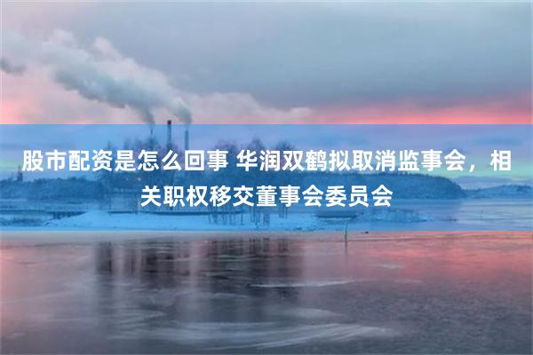 股市配资是怎么回事 华润双鹤拟取消监事会，相关职权移交董事会委员会