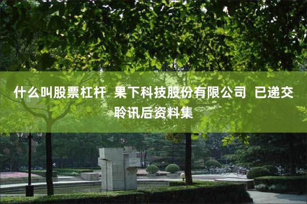 什么叫股票杠杆  果下科技股份有限公司  已递交聆讯后资料集