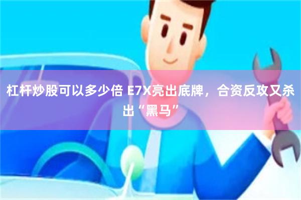 杠杆炒股可以多少倍 E7X亮出底牌,合资反攻又杀出“黑马”