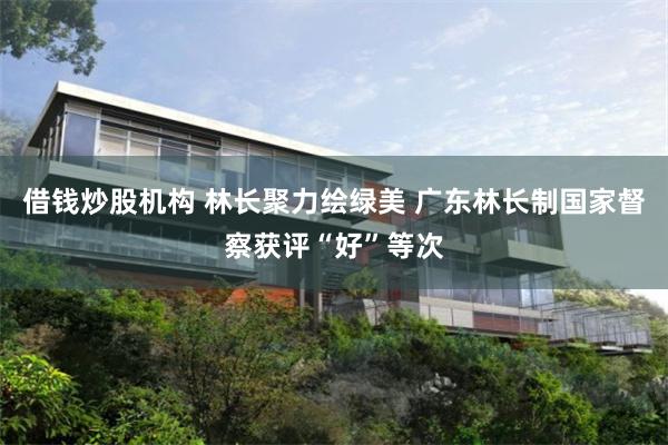 借钱炒股机构 林长聚力绘绿美 广东林长制国家督察获评“好”等次