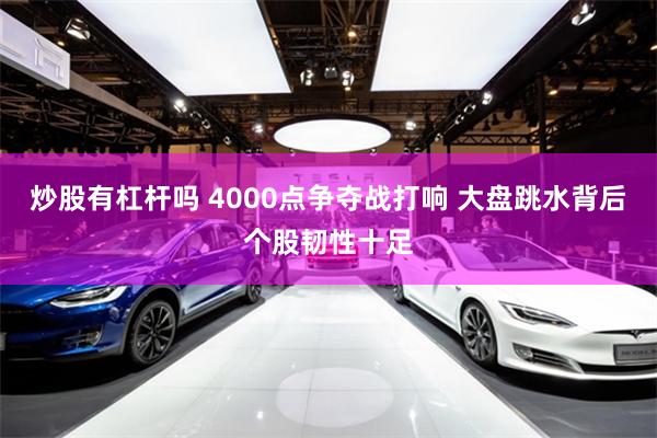 炒股有杠杆吗 4000点争夺战打响 大盘跳水背后个股韧性十足