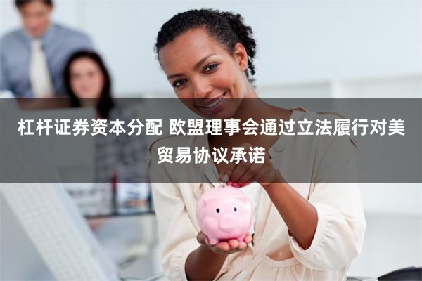 杠杆证券资本分配 欧盟理事会通过立法履行对美贸易协议承诺