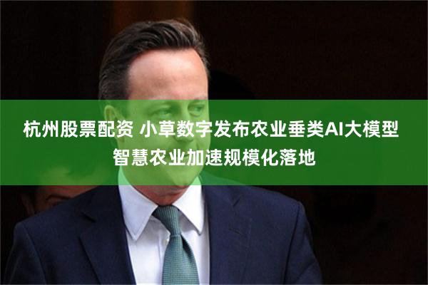 杭州股票配资 小草数字发布农业垂类AI大模型 智慧农业加速规模化落地