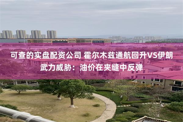可查的实盘配资公司 霍尔木兹通航回升VS伊朗武力威胁:油价在夹缝中反弹