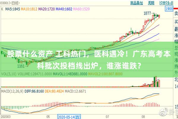 股票什么资产 工科热门，医科遇冷！广东高考本科批次投档线出炉，谁涨谁跌？