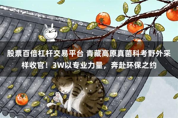 股票百倍杠杆交易平台 青藏高原真菌科考野外采样收官!3W以专业力量,奔赴环保之约