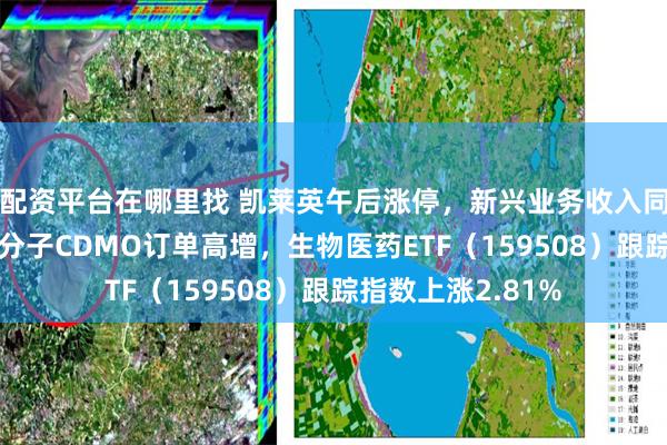 配资平台在哪里找 凯莱英午后涨停，新兴业务收入同比增长72%，大分子CDMO订单高增，生物医药ETF（159508）跟踪指数上涨2.81%