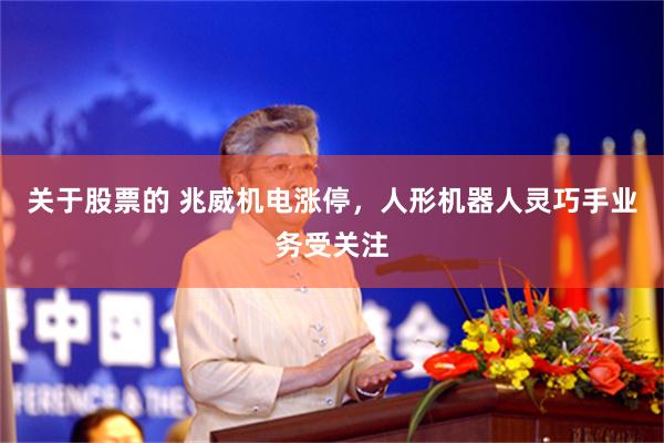 关于股票的 兆威机电涨停，人形机器人灵巧手业务受关注