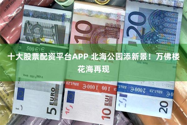 十大股票配资平台APP 北海公园添新景！万佛楼花海再现