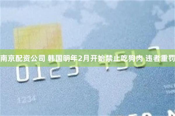 南京配资公司 韩国明年2月开始禁止吃狗肉 违者重罚