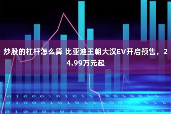 炒股的杠杆怎么算 比亚迪王朝大汉EV开启预售，24.99万元起