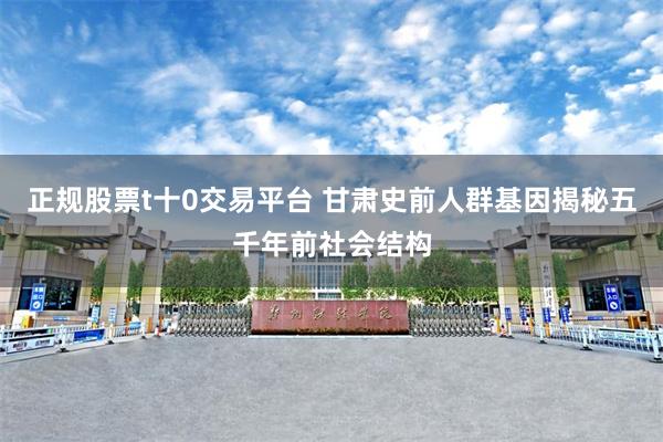 正规股票t十0交易平台 甘肃史前人群基因揭秘五千年前社会结构