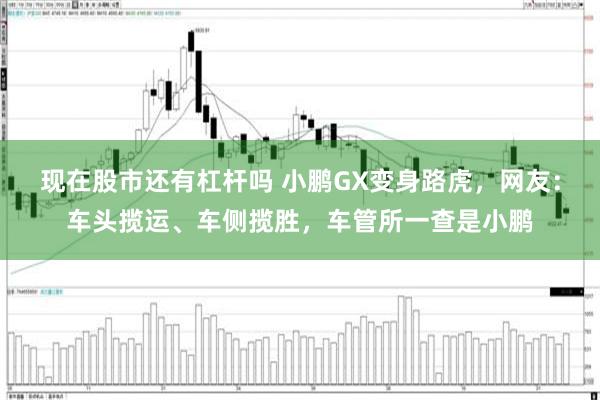 现在股市还有杠杆吗 小鹏GX变身路虎,网友:车头揽运、车侧揽胜,车管所一查是小鹏