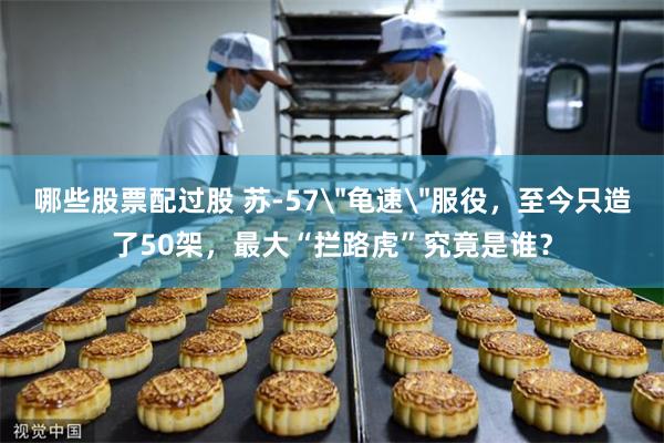 哪些股票配过股 苏-57